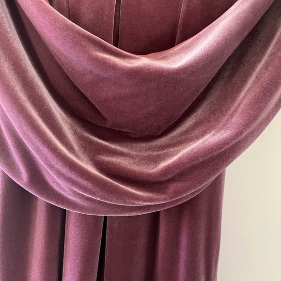 Betsy & Adam Rose Velvet Dress - Picture 7 of 14